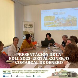 Presentación EDLL 2023-2027 Consejo Comarcal de Género